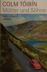 Cover of Mutter und Sohne