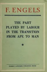 Cover of The part played by labour in the transition from ape to man