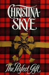 Cover of The perfect gift