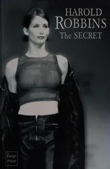 Cover of The secret