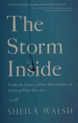 Cover of Storm Inside