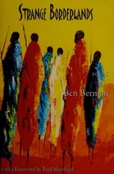 Cover of Strange borderlands