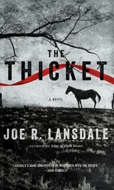 Cover of The thicket