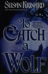 Cover of To catch a wolf