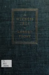 Cover of A witness tree