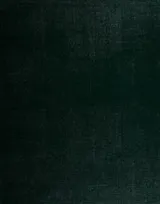 Cover of Parkett