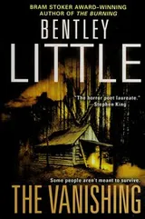 Cover of The vanishing
