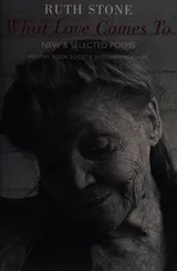 Cover of What Love Comes To