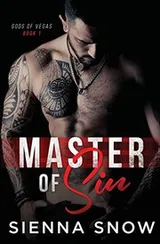 Cover of Master of Sin
