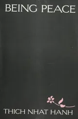 Cover of Being peace