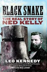 Cover of Black Snake