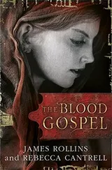 Cover of The Blood Gospel