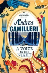 Cover of Voice in the Night