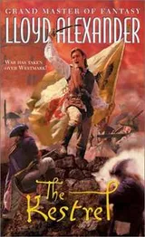 Cover of The Kestrel (Firebird)