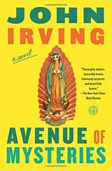 Cover of Avenue of Mysteries