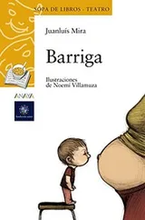 Cover of Barriga