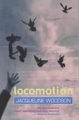 Cover of Locomotion
