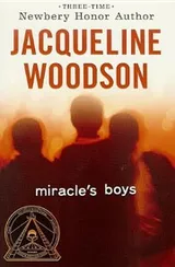 Cover of Miracle's boys