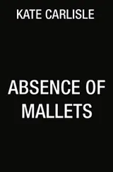 Cover of Absence of Mallets