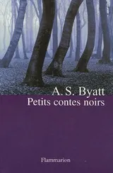 Cover of Petits Contes noirs