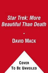 Cover of Star Trek - Mirror Universe - Shards and Shadows