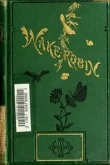 Cover of Wake-Robin