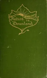 Cover of Nature in downland