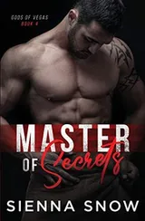 Cover of Master of Secrets