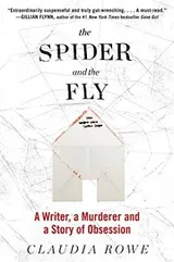 Cover of Spider and the Fly