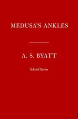 Cover of Medusa's Ankles