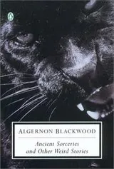 Cover of Ancient Sorceries