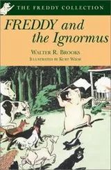 Cover of Freddy and the Ignormus