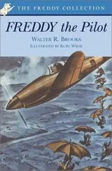 Cover of Freddy the pilot