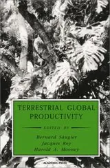 Cover of Terrestrial global productivity