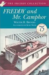 Cover of Freddy and Mr. Camphor