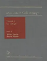 Cover of Cilia and flagella