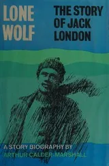 Cover of Lone wolf