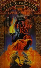Cover of The flame key