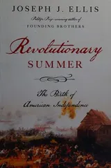Cover of Revolutionary summer