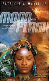 Cover of Moon-flash