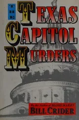 Cover of The Texas capitol murders
