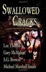 Cover of Swallowed By The Cracks