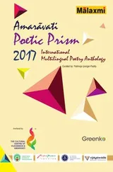Cover of Amaravati Poetic Prism - 2017