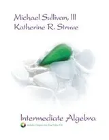 Cover of Intermediate algebra