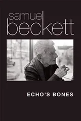 Cover of Echo's Bones