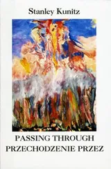 Cover of Passing Through/Przechodzenie Przez
