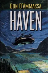 Cover of Haven
