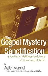 Cover of The Gospel Mystery of Sanctification
