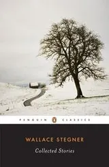 Cover of Collected Stories