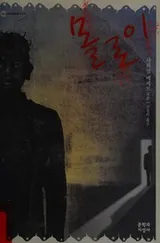 Cover of Molloi